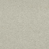 Abingdon Velvet Dream Carpet Exen Flooring