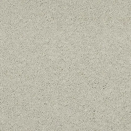 Abingdon Velvet Dream Carpet Exen Flooring
