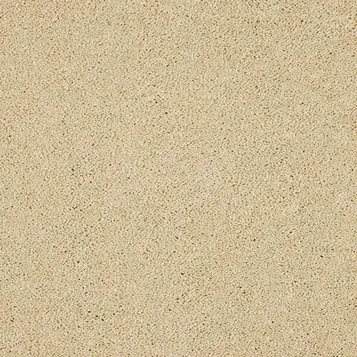 Abingdon Velvet Dream Carpet Exen Flooring