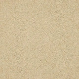 Abingdon Velvet Dream Carpet Exen Flooring