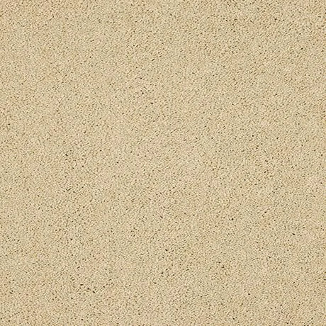 Abingdon Velvet Dream Carpet Exen Flooring