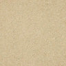 Abingdon Velvet Dream Carpet Exen Flooring