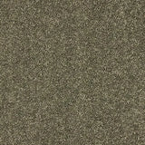Abingdon Velvet Dream Carpet Exen Flooring
