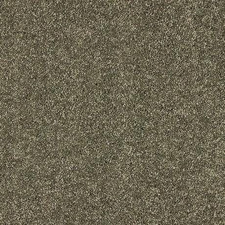 Abingdon Velvet Dream Carpet Exen Flooring
