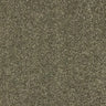 Abingdon Velvet Dream Carpet Exen Flooring