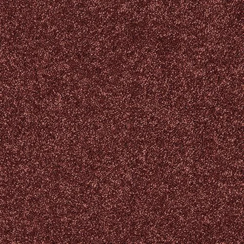 Abingdon Velvet Dream Carpet Exen Flooring