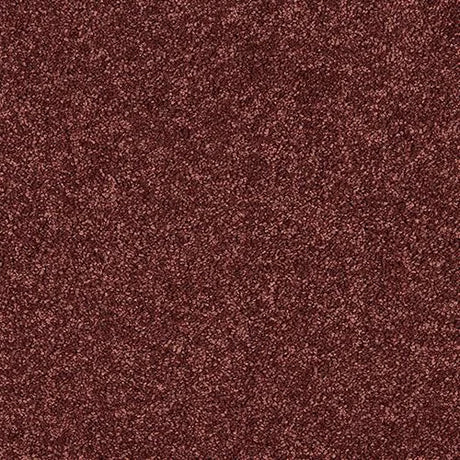Abingdon Velvet Dream Carpet Exen Flooring
