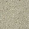 Abingdon Wilton Royal Charter Berber Deluxe Carpet Exen Flooring
