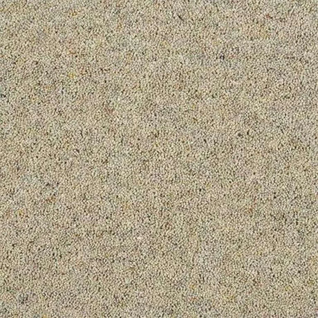 Abingdon Wilton Royal Charter Berber Deluxe Carpet Exen Flooring