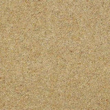 Abingdon Wilton Royal Charter Berber Deluxe Carpet Exen Flooring