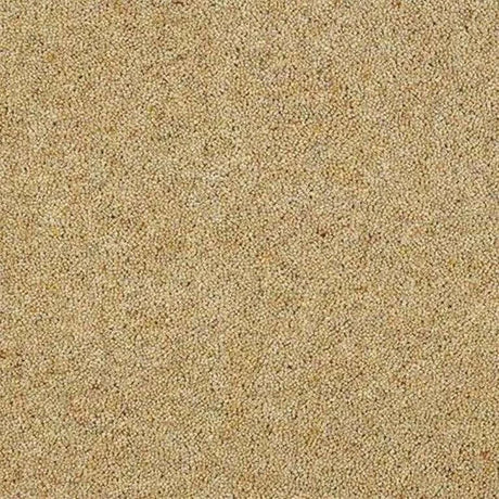 Abingdon Wilton Royal Charter Berber Deluxe Carpet Exen Flooring