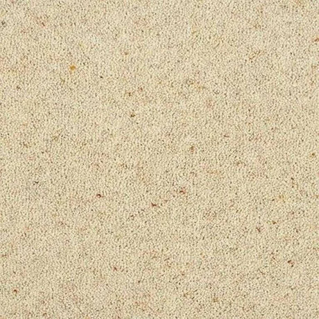 Abingdon Wilton Royal Charter Berber Deluxe Carpet Exen Flooring