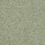 Abingdon Wilton Royal Charter Berber Deluxe Carpet Exen Flooring