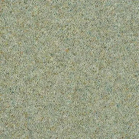 Abingdon Wilton Royal Charter Berber Deluxe Carpet Exen Flooring