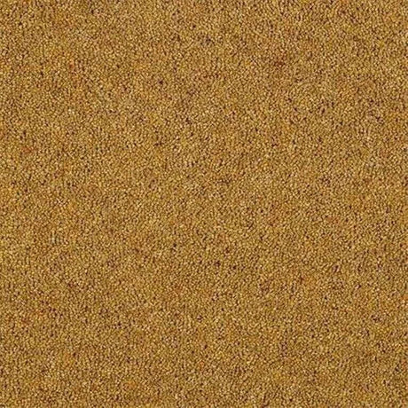 Abingdon Wilton Royal Charter Berber Deluxe Carpet Exen Flooring