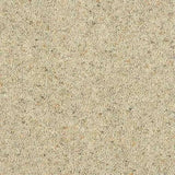 Abingdon Wilton Royal Charter Berber Deluxe Carpet Exen Flooring