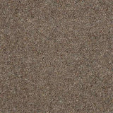 Abingdon Wilton Royal Charter Berber Deluxe Carpet Exen Flooring