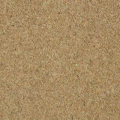 Abingdon Wilton Royal Charter Berber Deluxe Carpet Exen Flooring