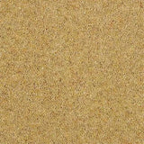 Abingdon Wilton Royal Charter Berber Deluxe Carpet Exen Flooring