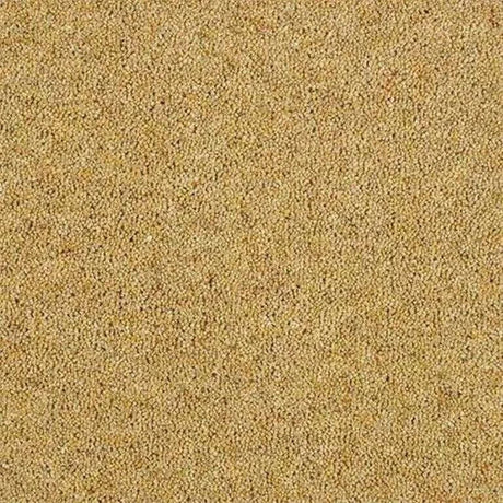 Abingdon Wilton Royal Charter Berber Deluxe Carpet Exen Flooring
