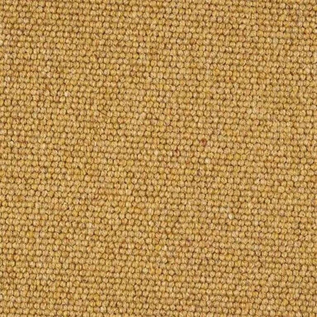 Abingdon Wilton Royal - Charter Berber Loop Carpet Exen Flooring