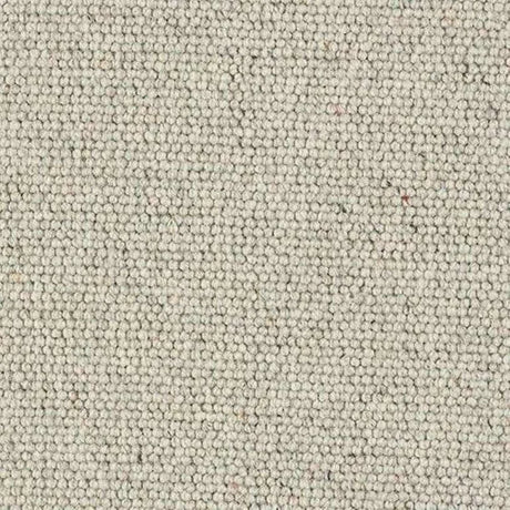 Abingdon Wilton Royal - Charter Berber Loop Carpet Exen Flooring