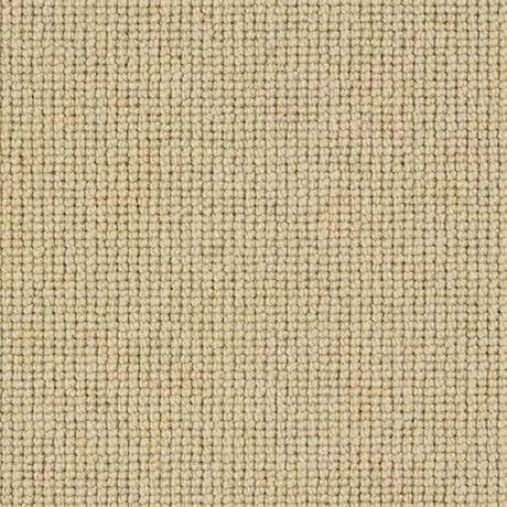 Abingdon Wilton Royal Charter Plain Loop Carpet Exen Flooring
