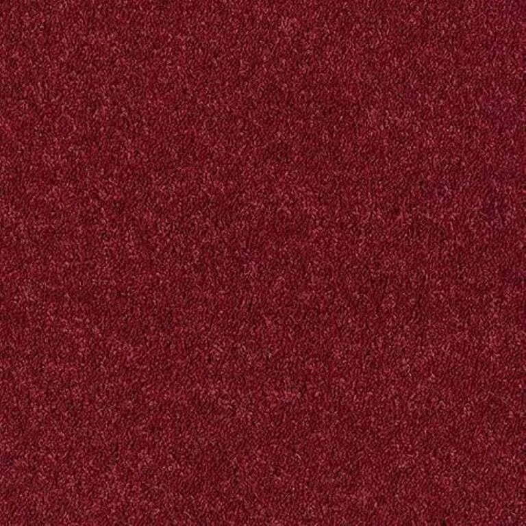 Abingdon Wilton Royal - Royal Charter Deluxe Carpet Exen Flooring
