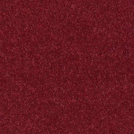Abingdon Wilton Royal - Royal Charter Deluxe Carpet Exen Flooring