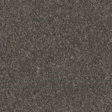 Abingdon Wilton Royal - Royal Charter Deluxe Carpet Exen Flooring