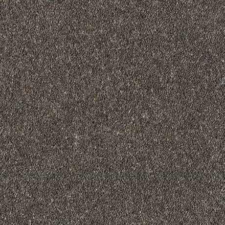 Abingdon Wilton Royal - Royal Charter Deluxe Carpet Exen Flooring