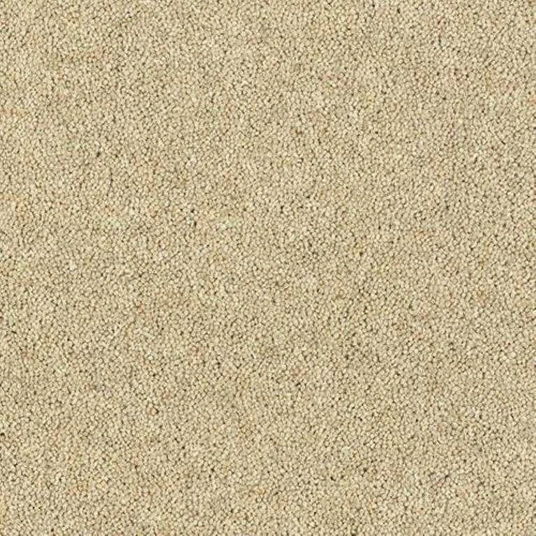 Abingdon Wilton Royal - Royal Charter Deluxe Carpet Exen Flooring