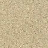 Abingdon Wilton Royal - Royal Charter Deluxe Carpet Exen Flooring