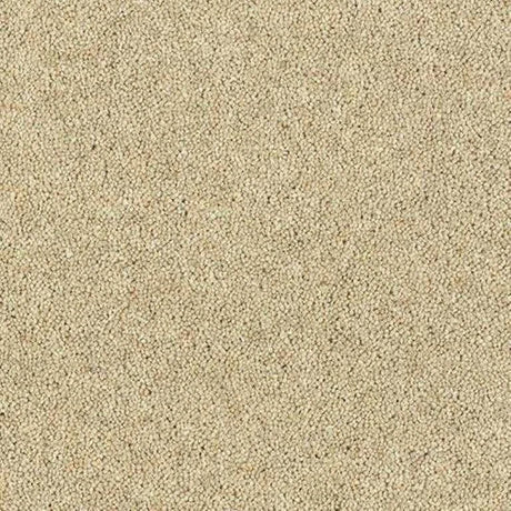Abingdon Wilton Royal - Royal Charter Deluxe Carpet Exen Flooring
