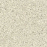 Abingdon Wilton Royal - Royal Charter Deluxe Carpet Exen Flooring