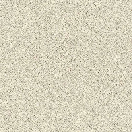Abingdon Wilton Royal - Royal Charter Deluxe Carpet Exen Flooring