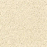 Abingdon Wilton Royal - Royal Charter Deluxe Carpet Exen Flooring