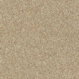 Abingdon Wilton Royal - Royal Charter Deluxe Carpet Exen Flooring