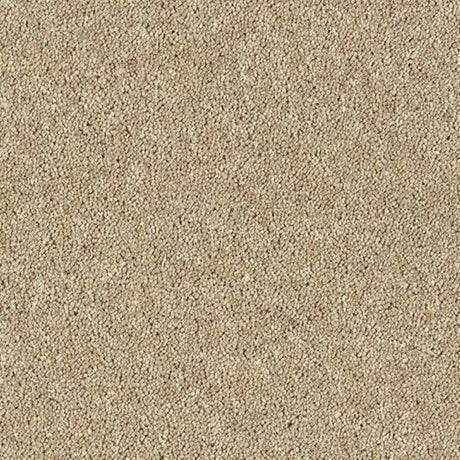 Abingdon Wilton Royal - Royal Charter Deluxe Carpet Exen Flooring