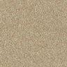 Abingdon Wilton Royal - Royal Charter Deluxe Carpet Exen Flooring