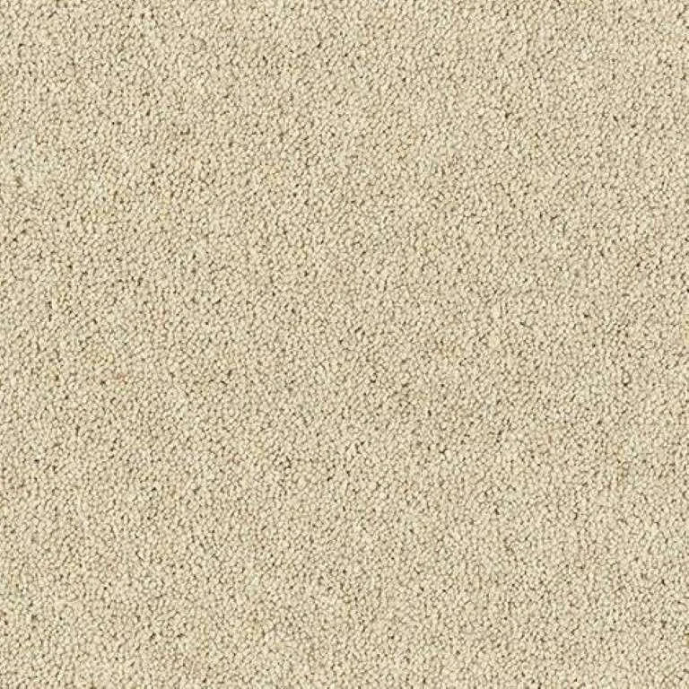 Abingdon Wilton Royal - Royal Charter Deluxe Carpet Exen Flooring
