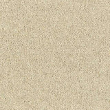 Abingdon Wilton Royal - Royal Charter Deluxe Carpet Exen Flooring