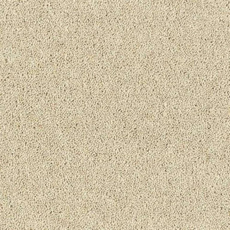 Abingdon Wilton Royal - Royal Charter Deluxe Carpet Exen Flooring