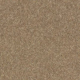 Abingdon Wilton Royal - Royal Charter Deluxe Carpet Exen Flooring