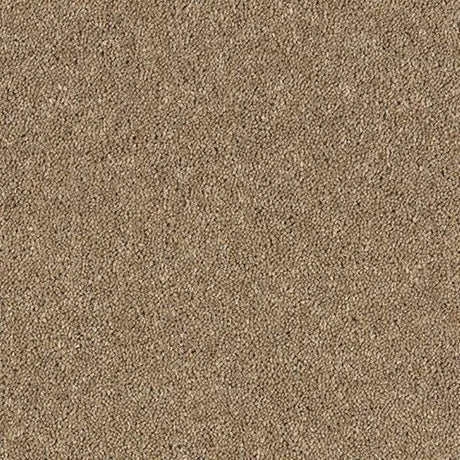 Abingdon Wilton Royal - Royal Charter Deluxe Carpet Exen Flooring
