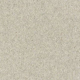 Abingdon Wilton Royal - Royal Charter Deluxe Carpet Exen Flooring