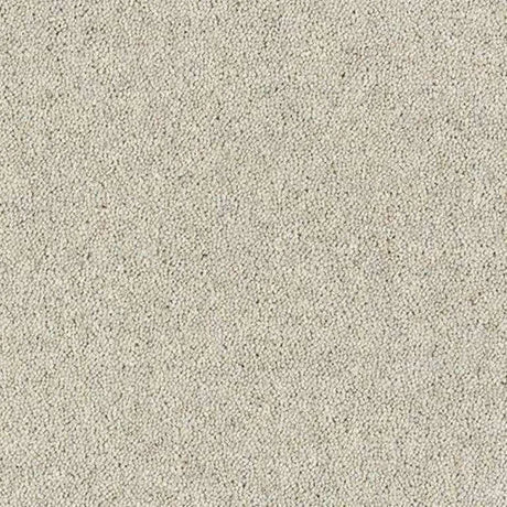 Abingdon Wilton Royal - Royal Charter Deluxe Carpet Exen Flooring