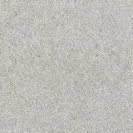 Abingdon Wilton Royal - Royal Charter Deluxe Carpet Exen Flooring
