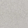 Abingdon Wilton Royal - Royal Charter Deluxe Carpet Exen Flooring