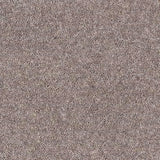 Abingdon Wilton Royal - Royal Charter Deluxe Carpet Exen Flooring